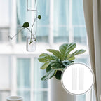 2pcs Hanging Glass Hydroponic Vase for Plants and Home Decor