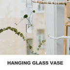 2pcs Hanging Glass Hydroponic Vase for Plants and Home Decor