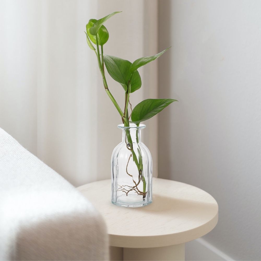 Glass Flower Container Aesthetic Flower Vase 4Pcs 5.5X3In