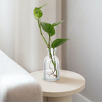 Glass Flower Container Aesthetic Flower Vase 4Pcs 5.5X3In
