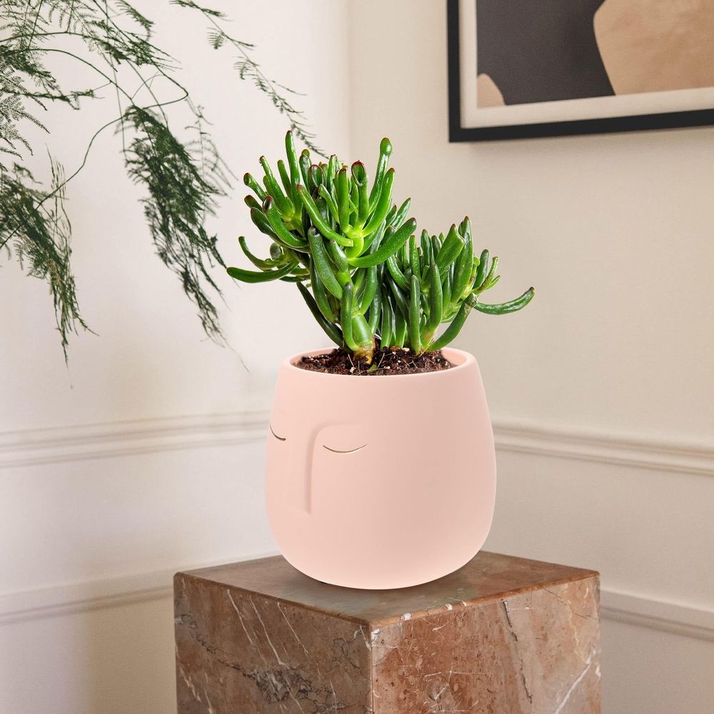 plant pots indoor Flowerpot Ceramics Pink Flower Lovers Table 1Set