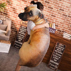 Dog Pillow 3D Simulation Dog Shaped Pillow, Funny Inu Plush Pillow Dog Stuffed Animal Pillow Chair Cushion for Decor