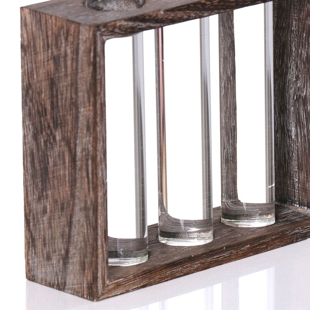 Natural Style Hydroponic Glass Tube Vase with Multi Wood Base, 1 Piece Decorative Plant Holder for Home and Office