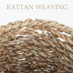 Compact Rattan Desktop Vase with Woven Design for Elegant Home Display