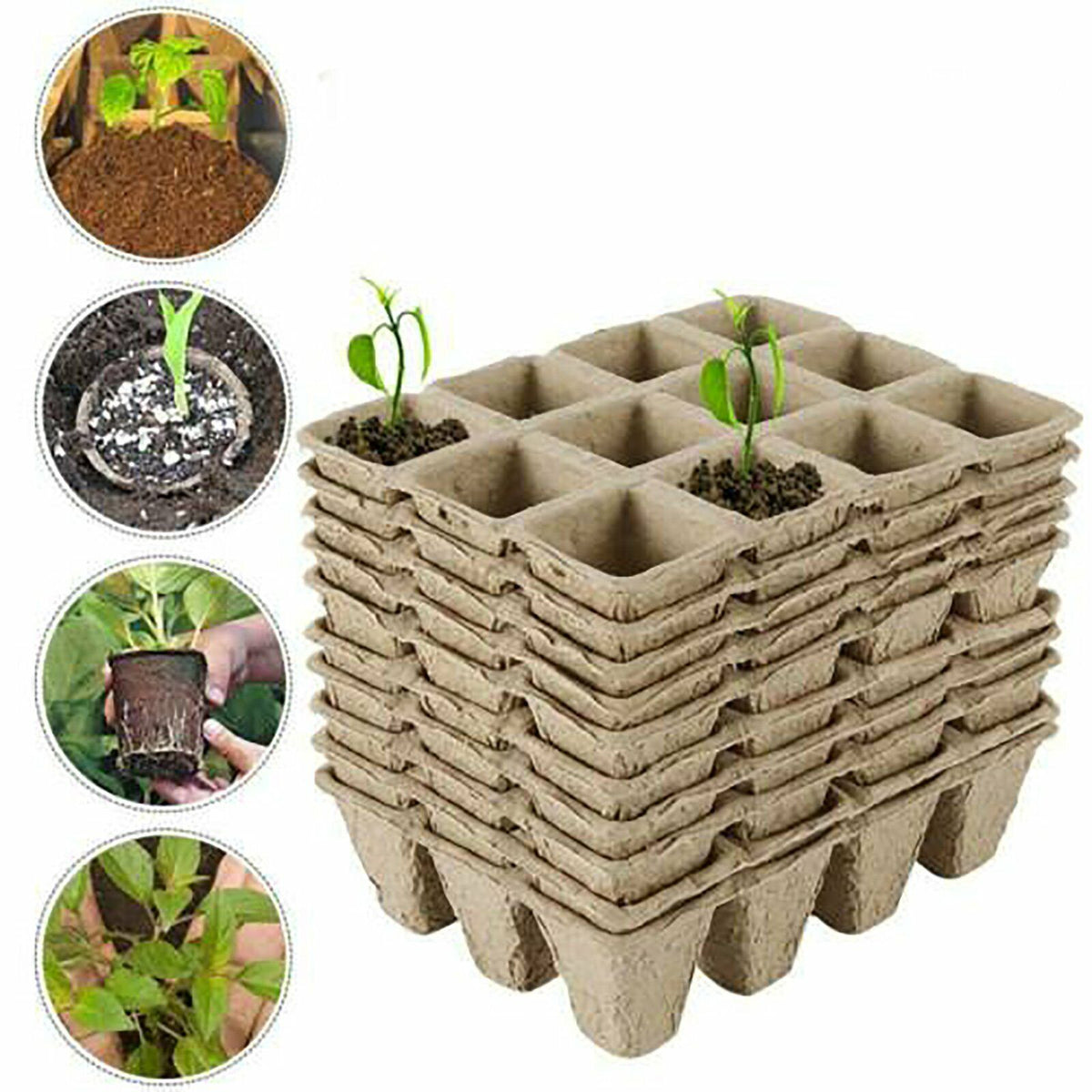 10pcs Biodegradable Seedling Trays 12-Hole Garden Starter