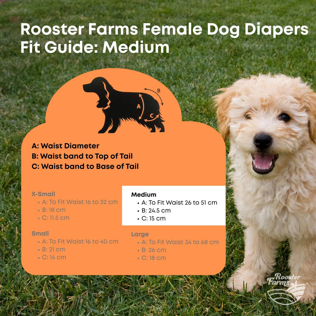 Rooster Farms Female Dog Diapers Medium 3Pk - Washable Reusable Nappy Hook/Loop