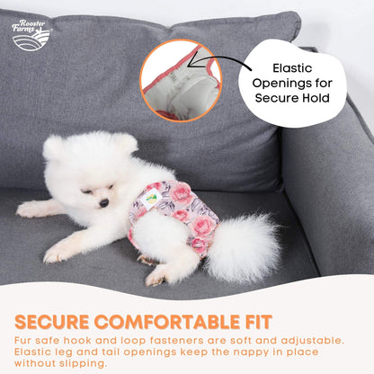 Rooster Farms Female Dog Diapers Large 3Pk - Washable Reusable Nappies Hook/Loop