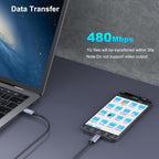 BENFEI 351SL-6F 100W USB-C to USB-C Fast Charging Cable Aluminum Shell Tangle-Free Silicone