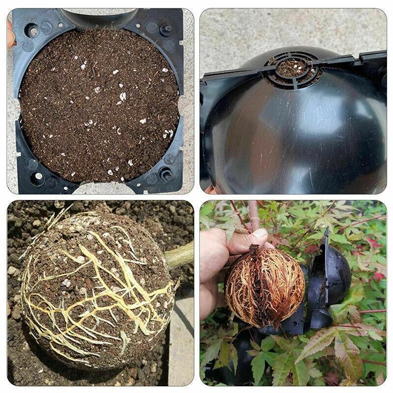 10Pcs Plant Rooting Ball High Pressure Propagation Box Grafting Breeding Device - L-12CM-10PCS