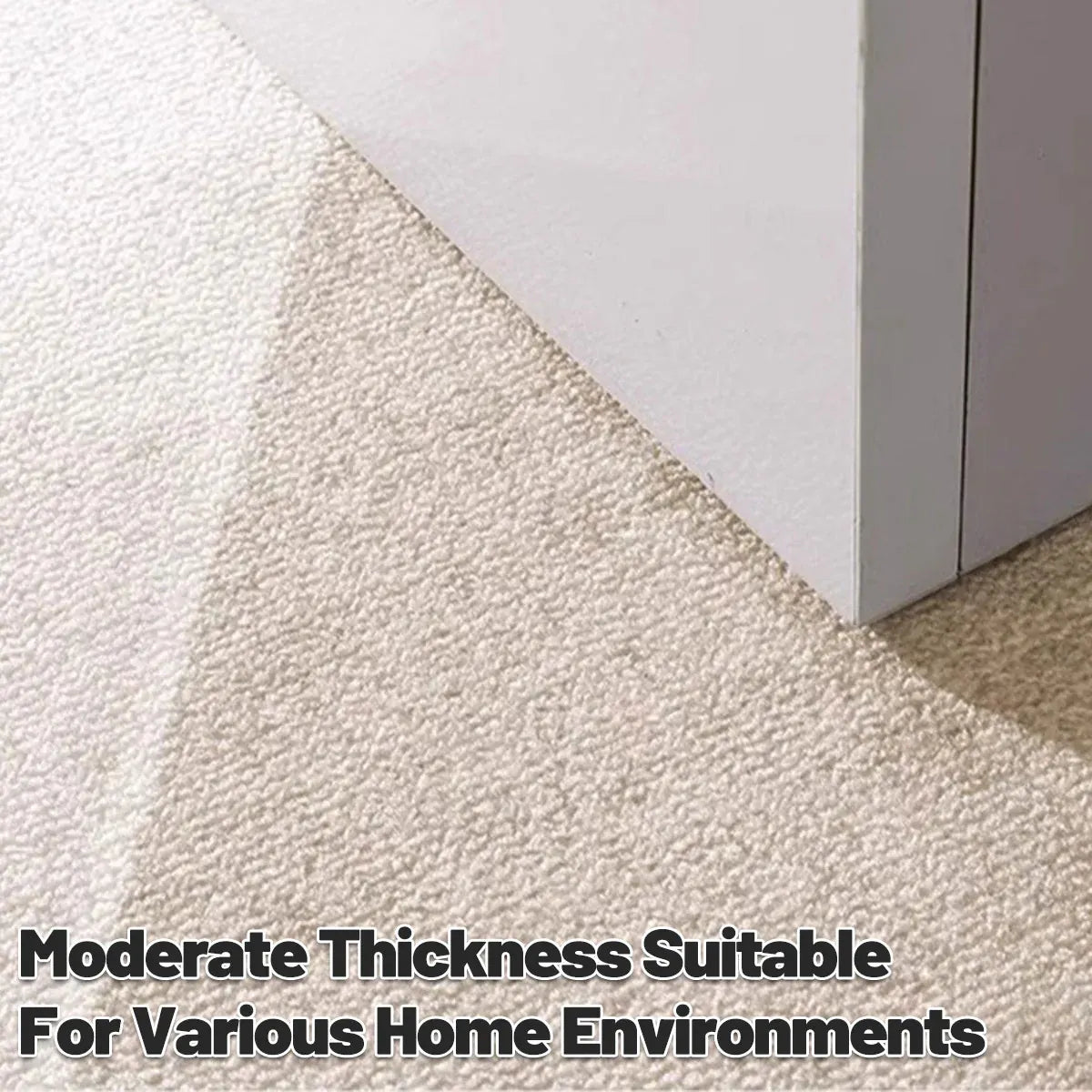 Premium Front Door Carpet Non Slip Indoor Outdoor Entrance Mat Durable Dust Proof - 80x120cm