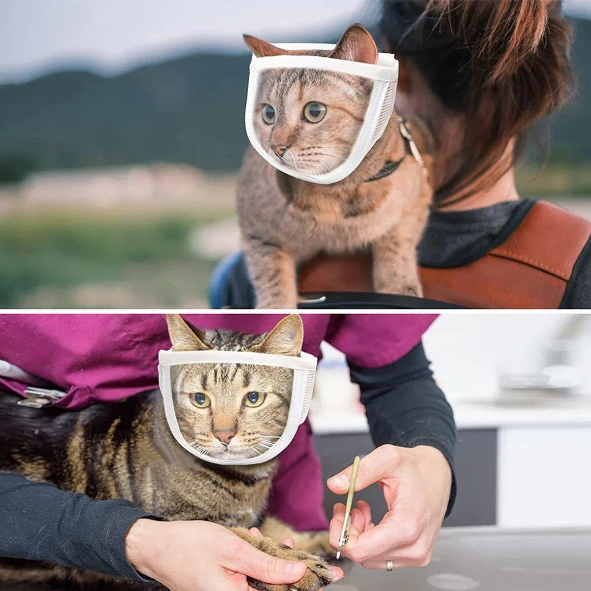Breathable Pet Headgear Clear Cat Dog Mask Anti Bite Scratch Protective Gear - M
