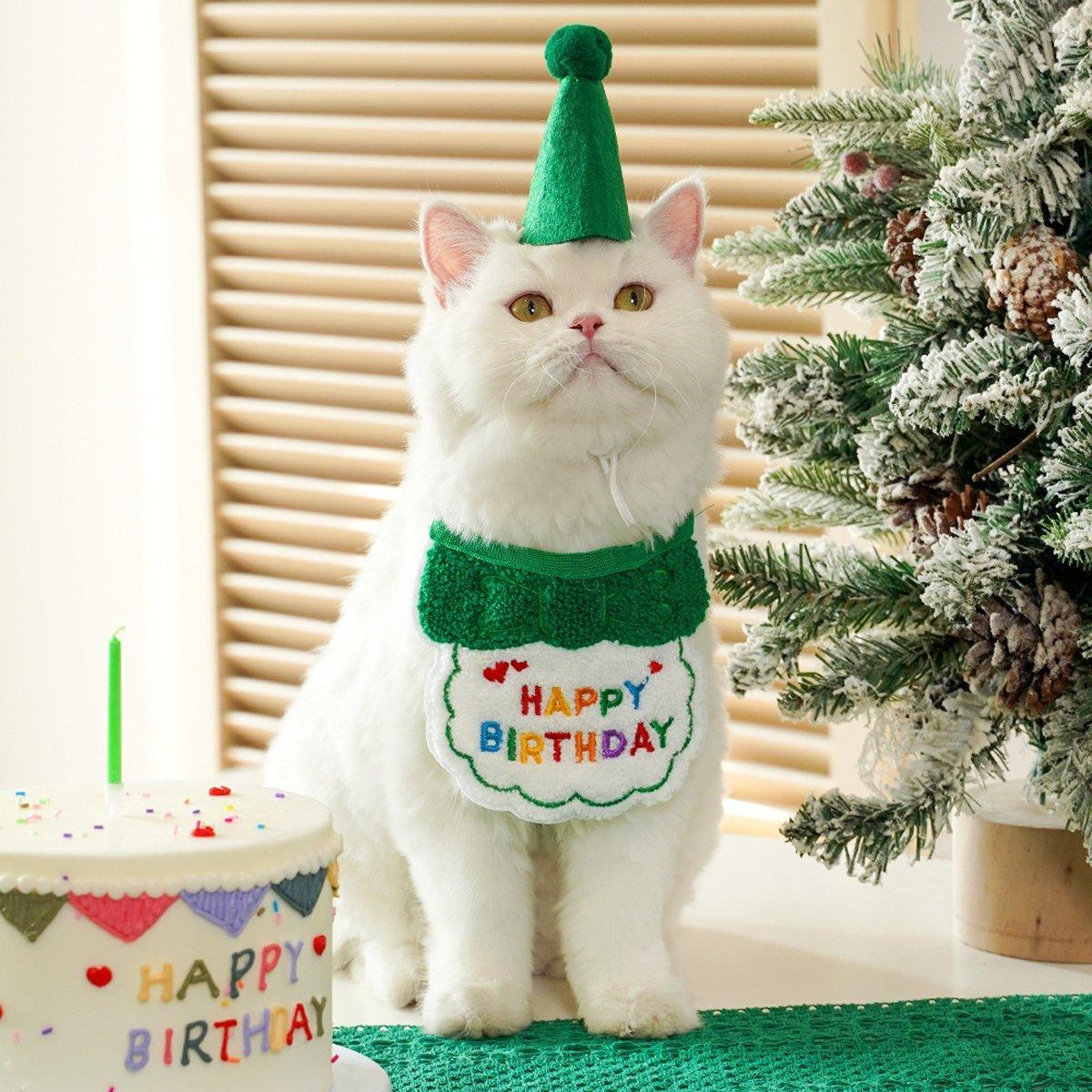 Pet Birthday Dog Cat Bib Scarf Hat Accessory Dogs Cats Celebration - Orange