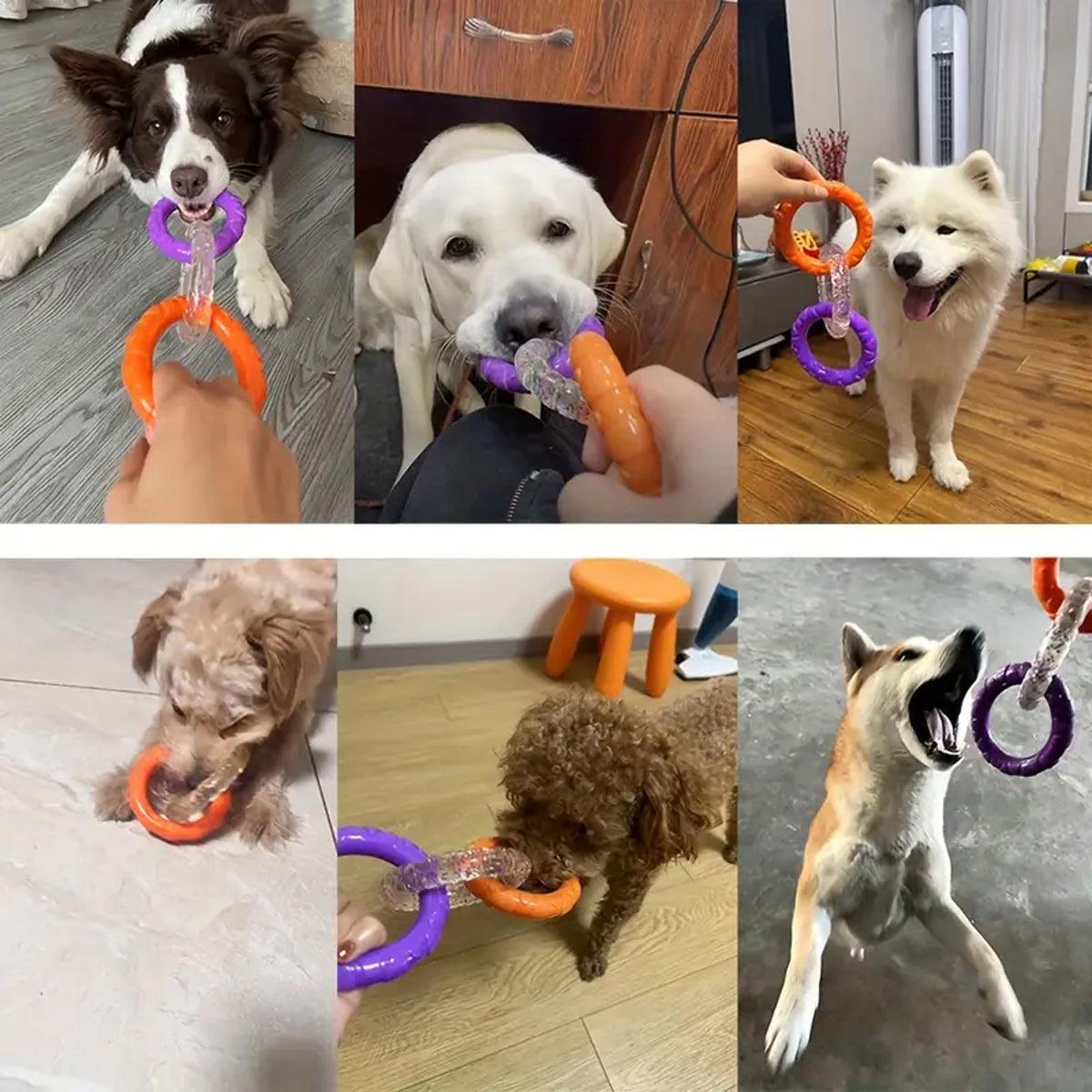 Interactive Dog Toys TRP Rubber Ring Teething Pet Rally Ring Chew Play Fetch - Green-Purple