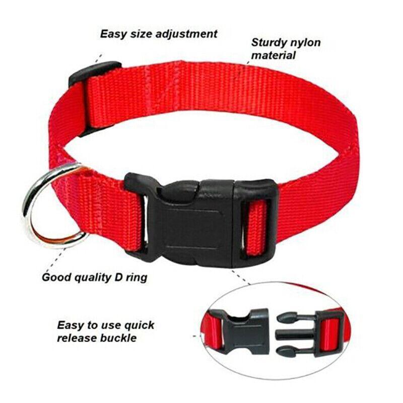 L Size Dog Puppy Pet Collar Adjustable Nylon Toy Large Pink Blue Red Black - Grey
