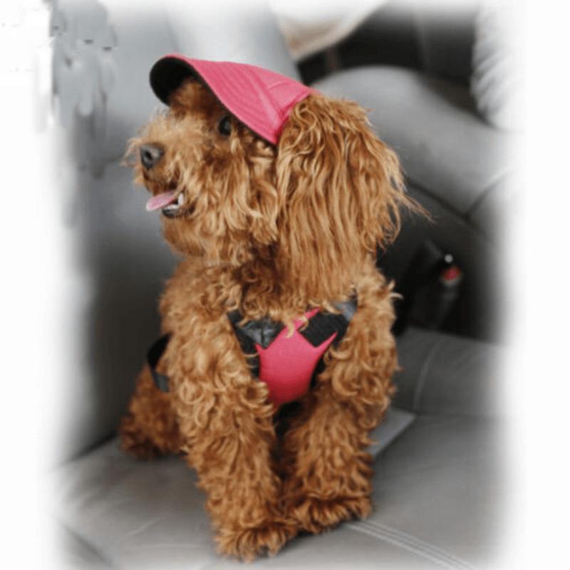 Dog Baseball Cap Outdoor Pet Sun Hat Summer Canvas Visor Puppy M Size - Stripe