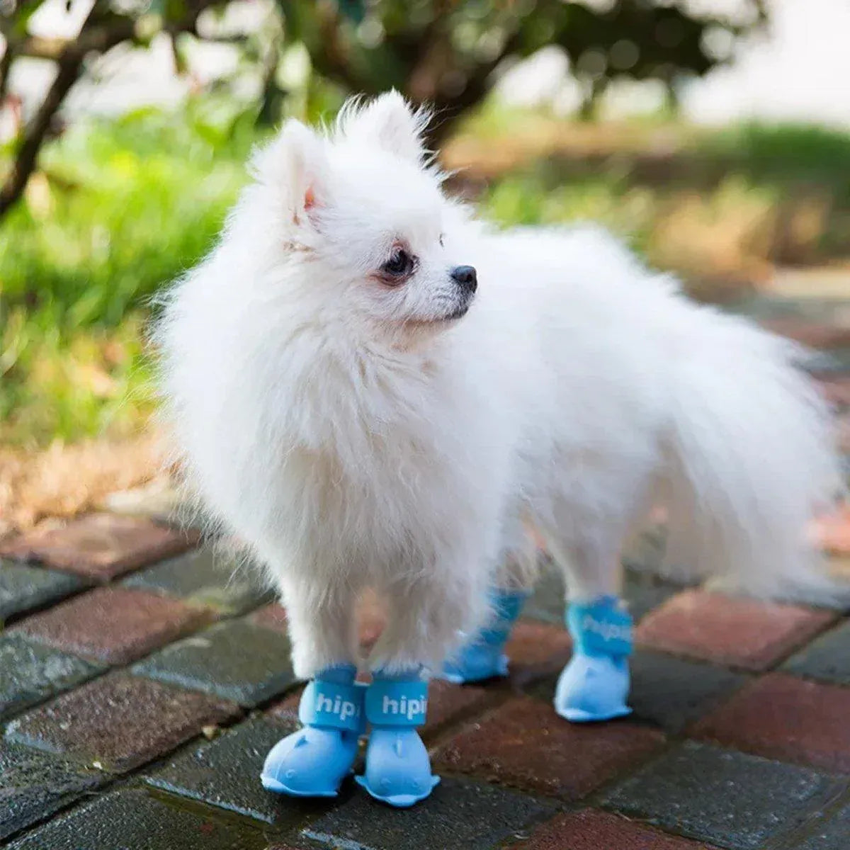 4pcs Cartoon Pet Rain Boots Waterproof Non-Slip Wear-Resistant Shoes for Dogs - Blue - S