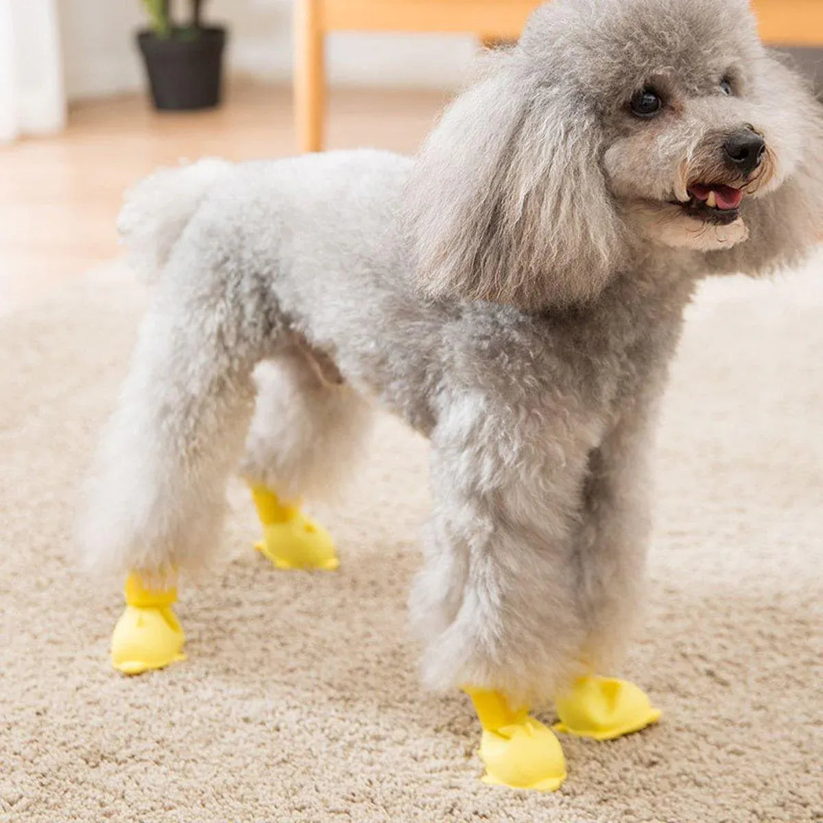 4pcs Cartoon Pet Rain Boots Waterproof Non-Slip Wear-Resistant Shoes for Dogs - Yellow - M