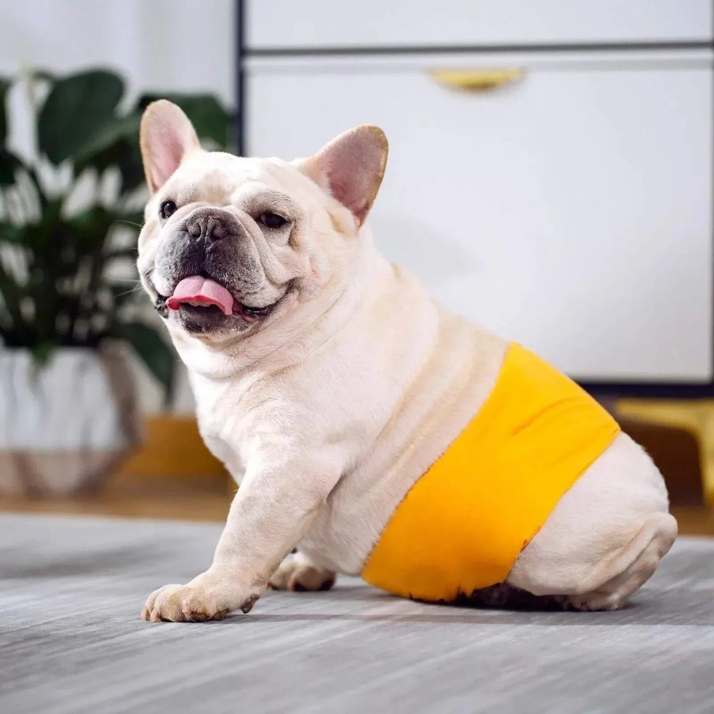 XS Male Dog Puppy Nappy Diaper Belly Wrap Band Sanitary Pants Underpants - Grey
