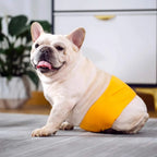 XS Male Dog Puppy Nappy Diaper Belly Wrap Band Sanitary Pants Underpants - Yellow