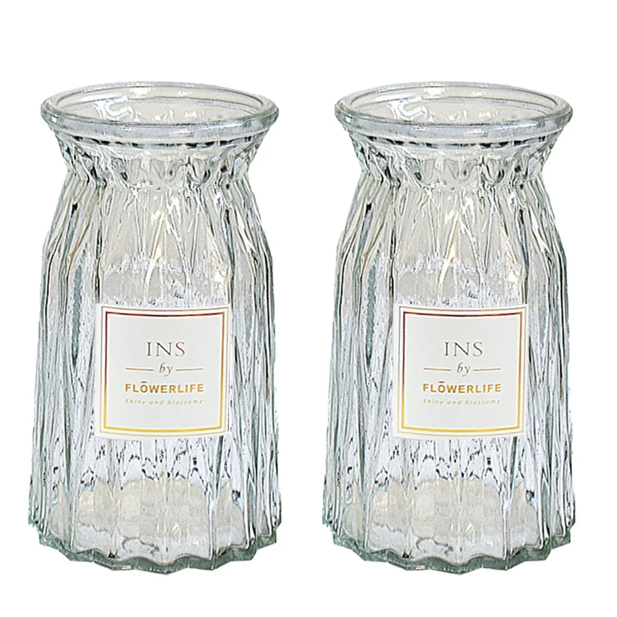 2 Pcs Glass Vase Hydroponic Flower Arrangement Vase for Living Room Decoration - Transparent