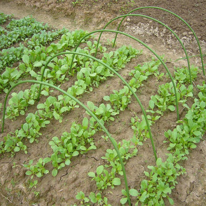 6PCS Greenhouse Plant Hoops Garden Tunnel Support for Row Covers and Netting