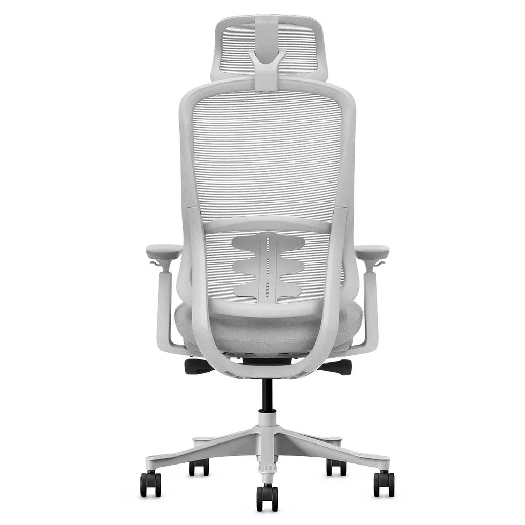 Lifespan Fitness DM8 Ergonomic Office Desk Chair (White/Grey)