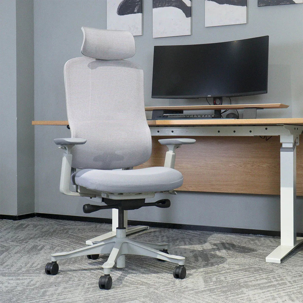 Lifespan Fitness DM8 Ergonomic Office Desk Chair (White/Grey)