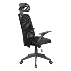 Ergonomic Mesh Office Chair