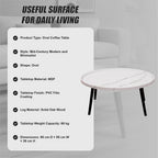 Oval Coffee Table Mid Century Modern Minimalist Display