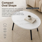 Oval Coffee Table Mid Century Modern Minimalist Display