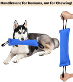 Blue Durable 2-Pack Tug-of-War Dog Training Toy - Tear-Resistant, Safe & Interactive for All Breeds