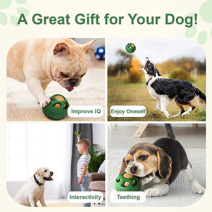 Red Ball and Black Mold Pet Treat Dispensing Ball and Molding Set - Silicone Dog Chew Toy for Teeth Cleaning and Boredom Relief