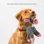 3pcs Grey Goofy Plush Donkey Squeaky Dog Toy - Large Interactive Chew & Cuddle Buddy