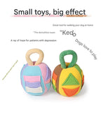 Interactive Dog Snuffle Ball Toy - Puzzle Treat Dispenser with Squeaker, blue pink