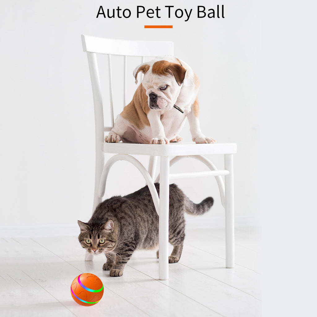Interactive Auto Pet Toy Ball with Remote Control - USB Rechargeable, LED Lights, Sturdy & Waterproof(pink)