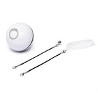 Smart USB Rechargeable Pet Interactive Rolling Ball(White)