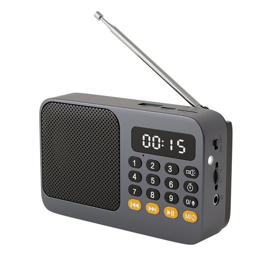 Portable Digital Music Player & FM Radio,4 Playback Modes, LED Flashlight(Gray)