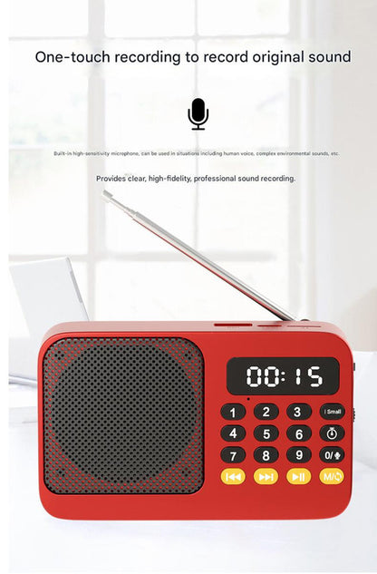 Portable Digital Music Player & FM Radio,4 Playback Modes, LED Flashlight(Gray)