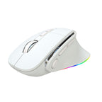 Ergonomic Vertical Wireless Mouse - Dual Mode (2.4G + Bluetooth), RGB Light, Rechargeable 500mAh Battery(White)