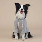 Grey Classic Dog Sweatshirt with Hood & Drawstrings - For Large Dogs (Size : 6XL)