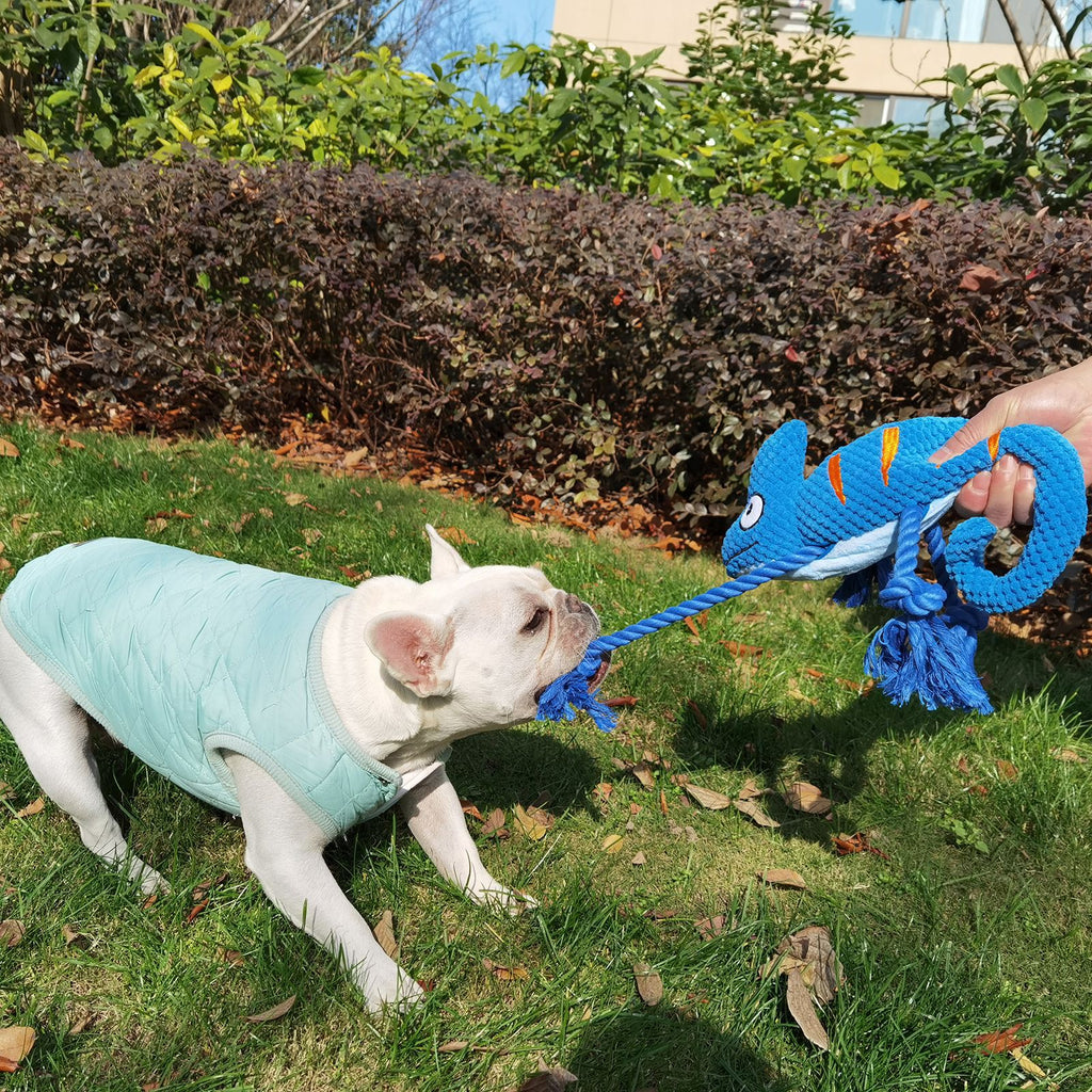 2 Pcs Purple Interactive Plush Chameleon Dog Toy with Squeaker & Rope Legs - Durable Chew Toy for Medium/Large Dogs, Teeth Cleaning Texture, Machine Washable (10.2in)