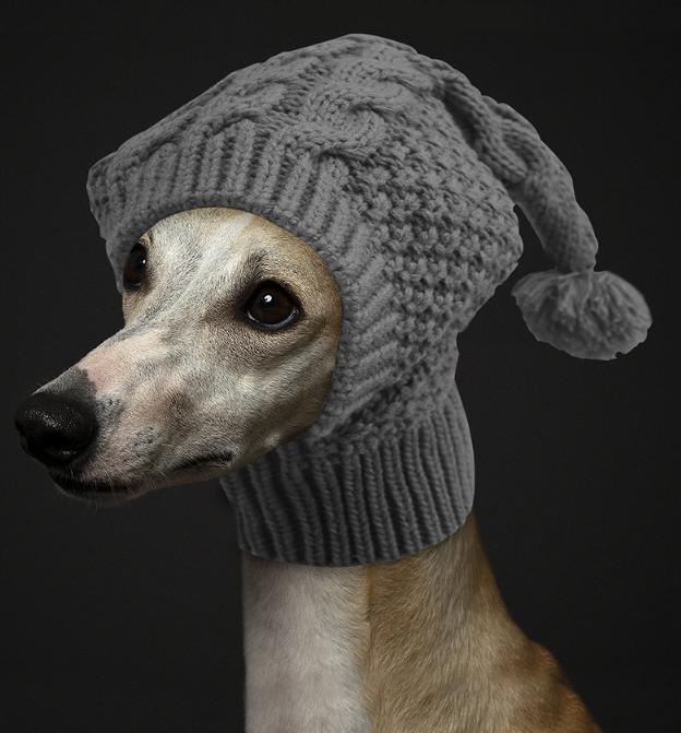 Size S Grey Whimsical Knit Dog Hat with Pom-Pom - Cozy Winter Pet Beanie & Snood