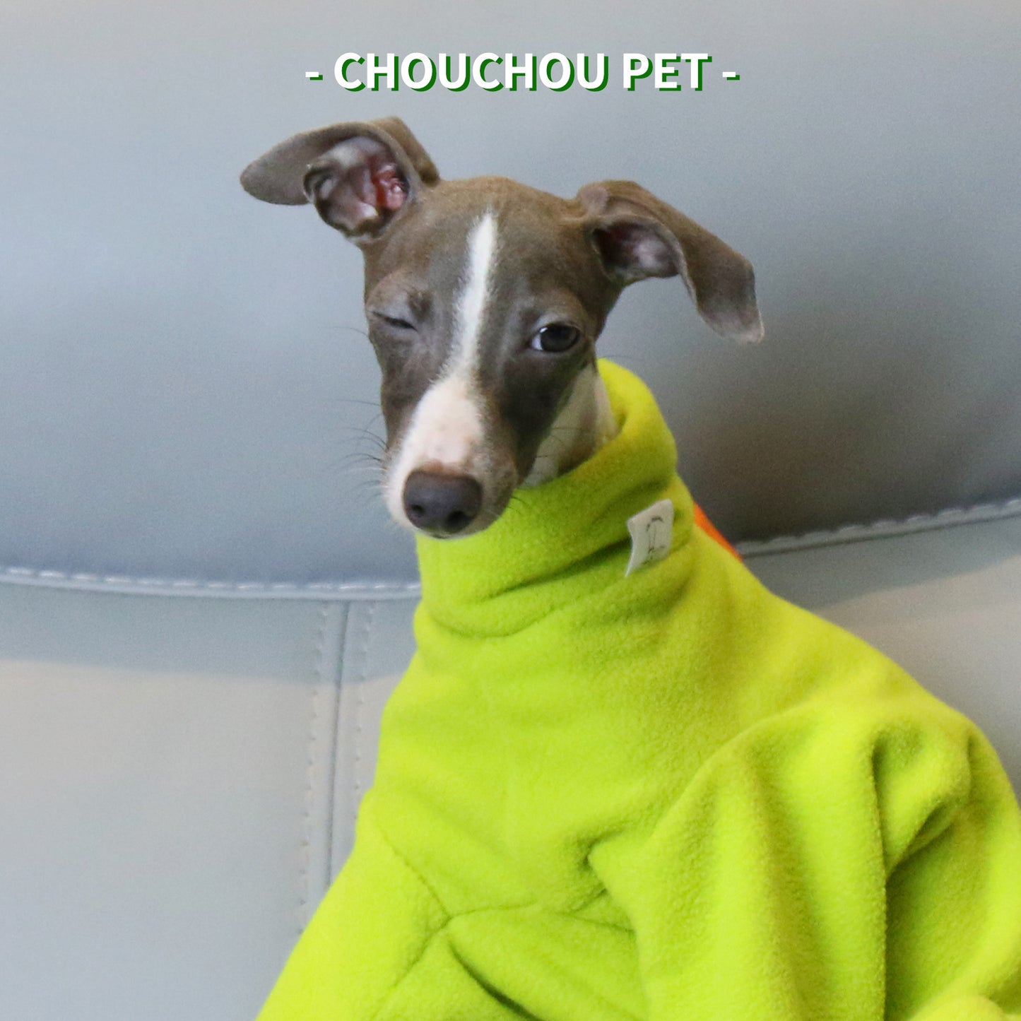 L Adorable Dinosaur Fleece Dog Jumpsuit - Warm Winter Pajamas for Whippets & Italian Greyhounds