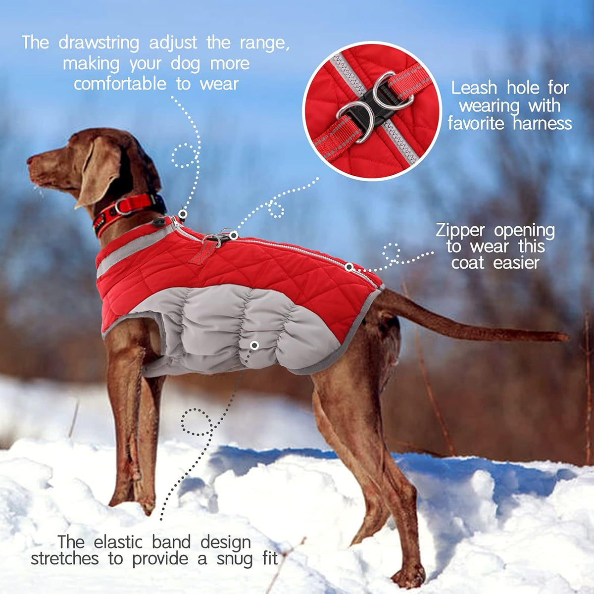 XXXL Red Grey Premium Winter Puffer Dog Coat - Windproof & Fleece-Lined Jacket for Cold Weather