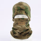 Ruins Green Outdoor Thermal Fleece Balaclava - Windproof Cycling Hat & Neck Warmer for Winter Sports - Thickened Cold Weather Face Mask Hood