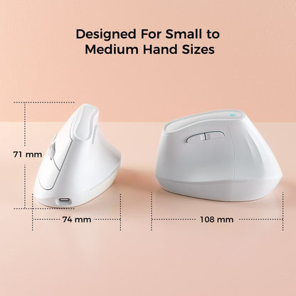Ergonomic Vertical Mouse - Multi-Device Bluetooth5.0 & 2.4G Wireless, Adjustable DPI, Silent Click(black)