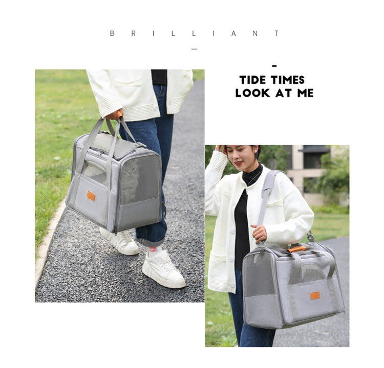 Foldable Soft-Sided Pet Carrier for Travel - Fits Cats & Small Dogs Under 6kg, with Removable Plush Bed & Shoulder Strap(grey)
