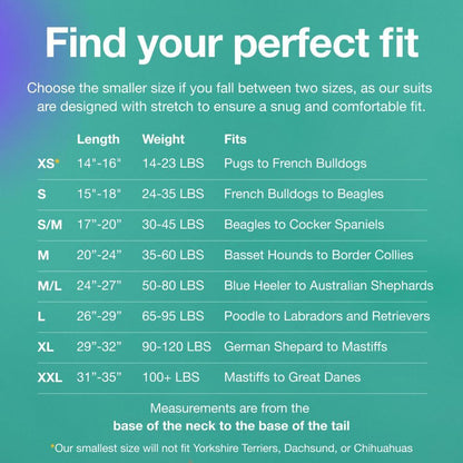 L Blue Premium Pet Physiological Suit - Comfortable & Breathable Bamboo Modal Recovery Suit