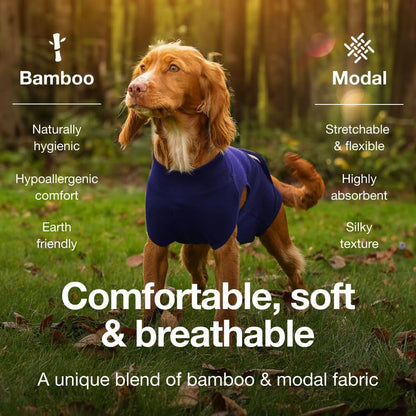 XL Blue Premium Pet Physiological Suit - Comfortable & Breathable Bamboo Modal Recovery Suit