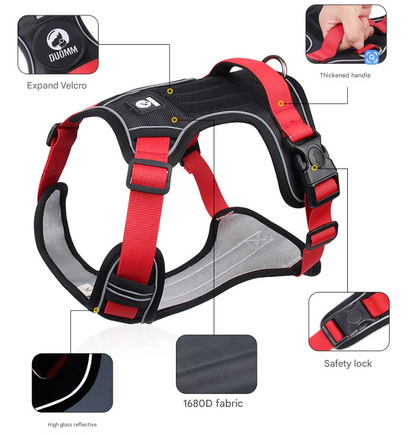 Blue L Adjustable No-Pull Dog Harness and Leash Set - Reflective & Padded Vest for Medium to Large Dogs